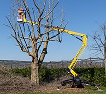 履帶式蜘蛛車-工作高度15m